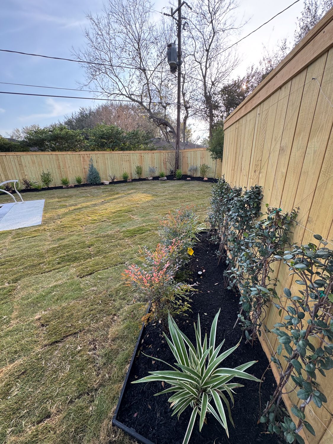 Bezuz-Lawn-and-Landscaping_Houston-and-Katy-Landscaper-36